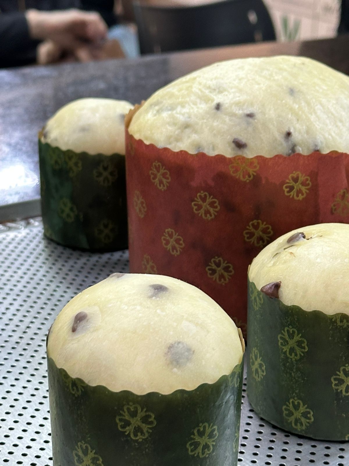 WhatsApp Image 2025-10-31 at 15.06.13.jpeg